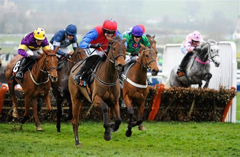 cheltenham horse racing.